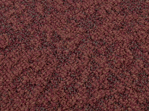 Terra 18