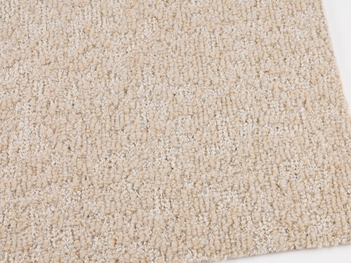 Terra 38