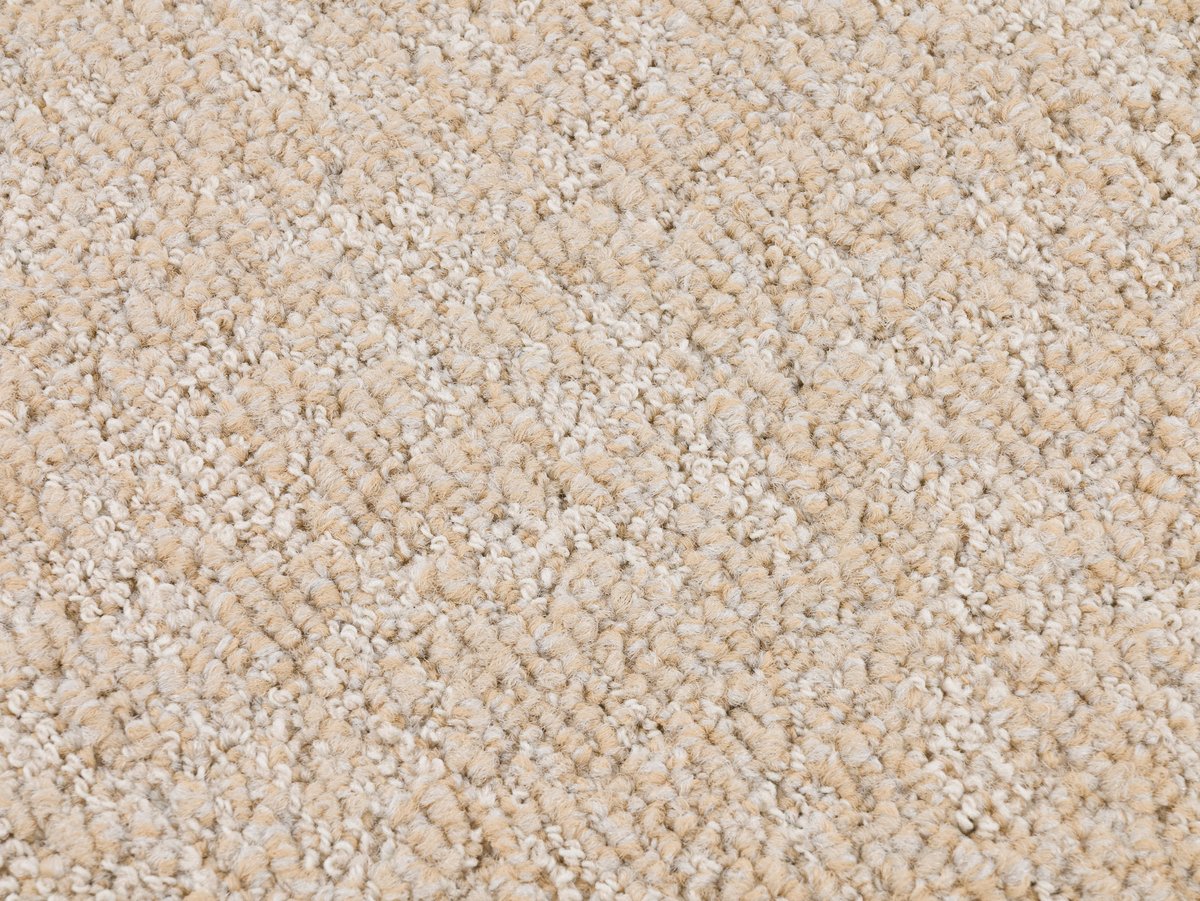 Terra 38