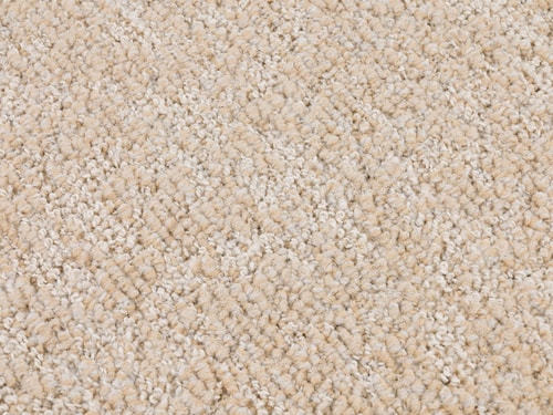 Terra 38