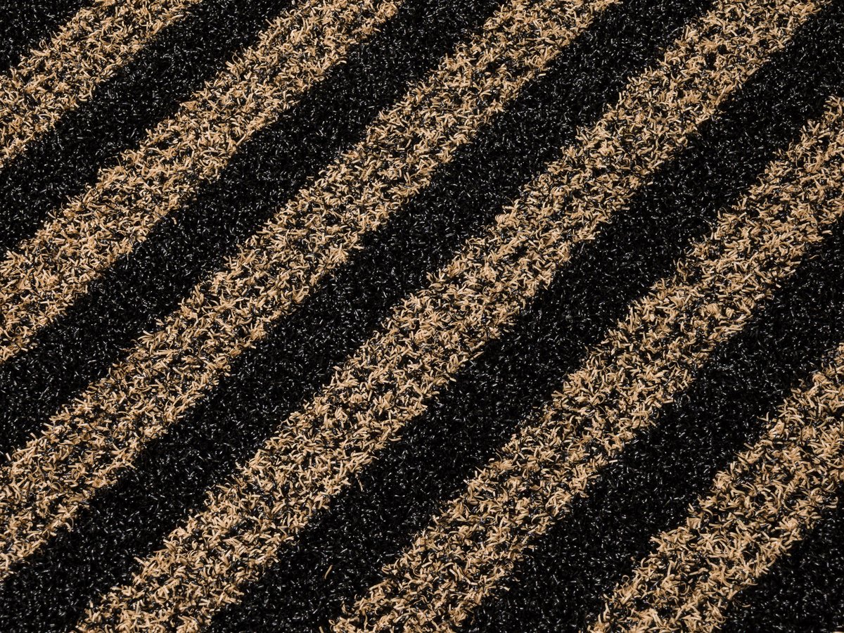 Zebra 61 béžovočerná