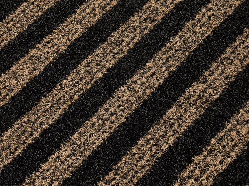 Zebra 61 béžovočerná