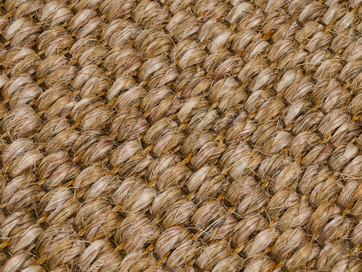 Zambesi 2060
