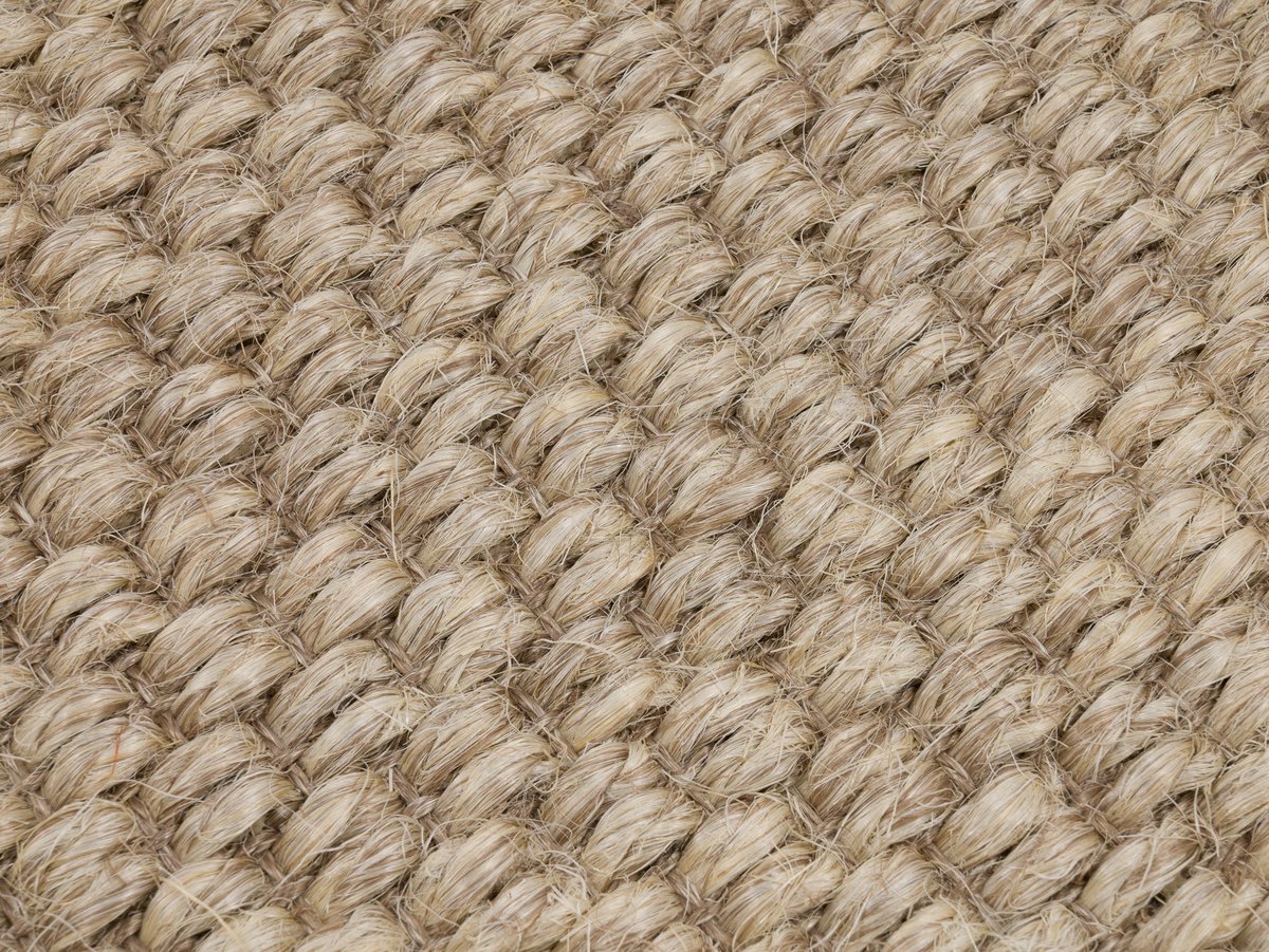 Zambesi 2371