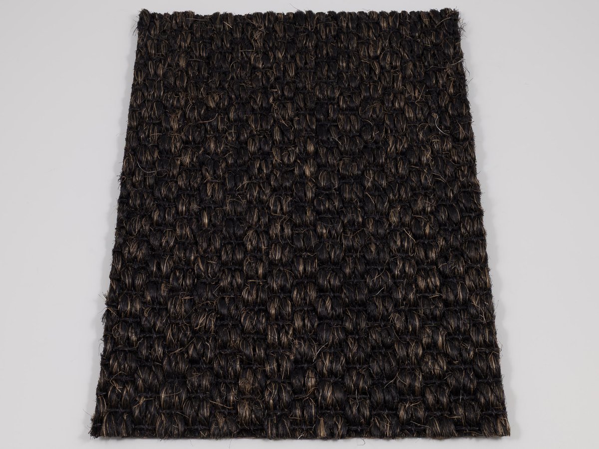 Zambesi 2373