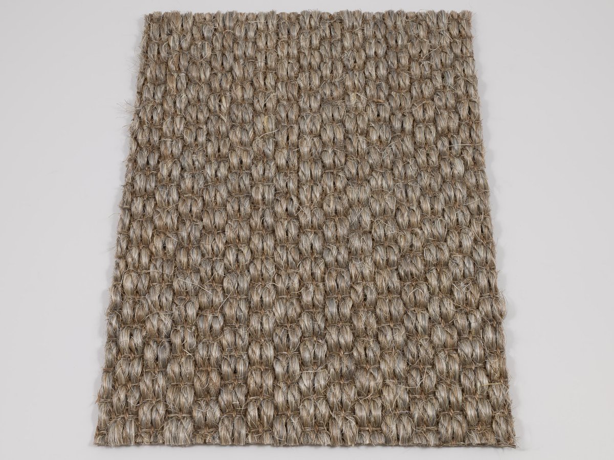 Zambesi 2375