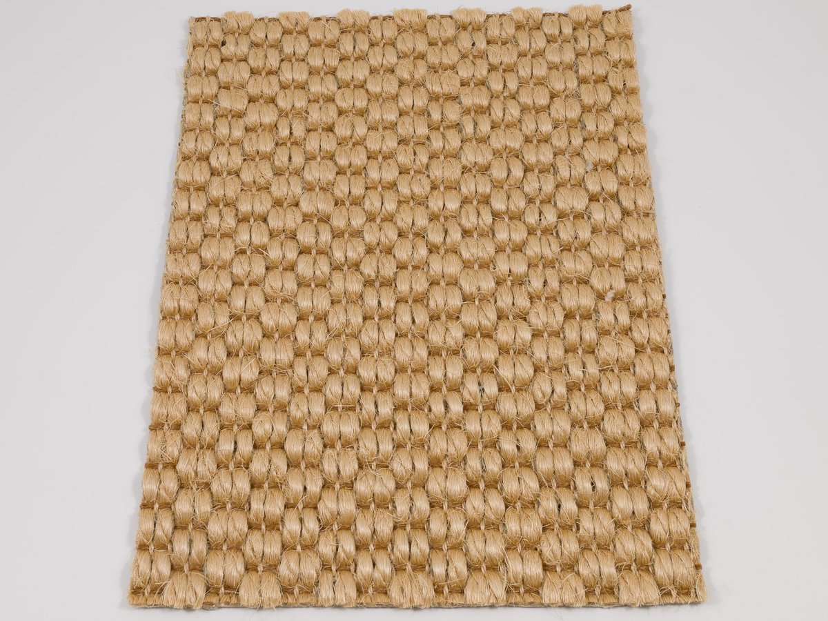 Zambesi 2376