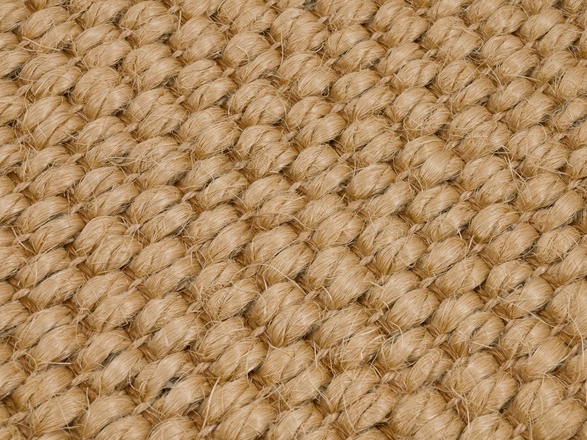 Zambesi 2376