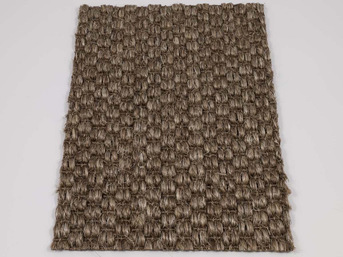 Zambesi 2377