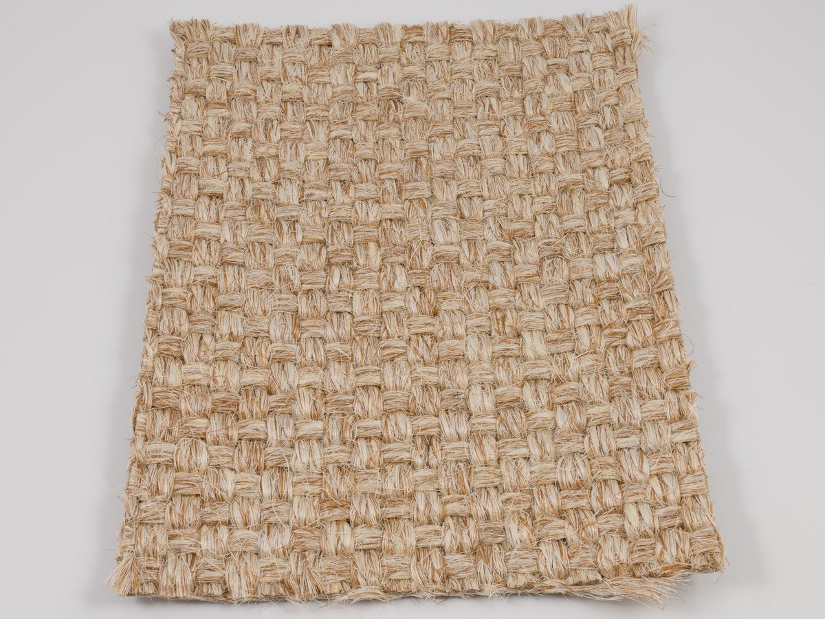 Colora 2851-20