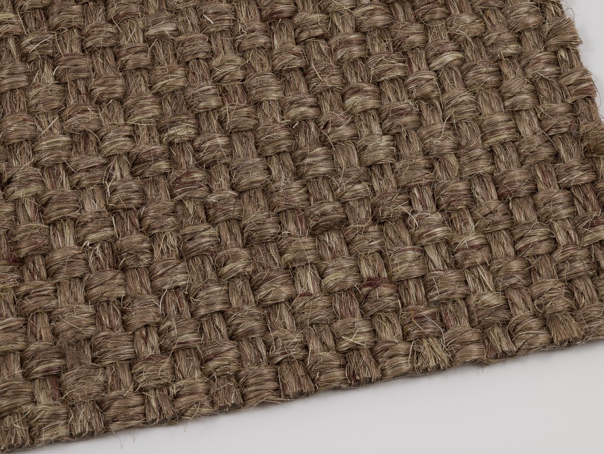 Colora 2853-20
