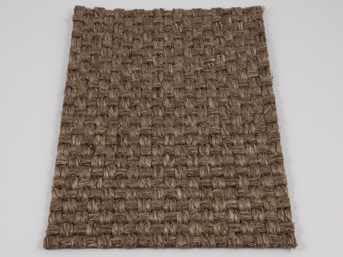 Colora 2853-20