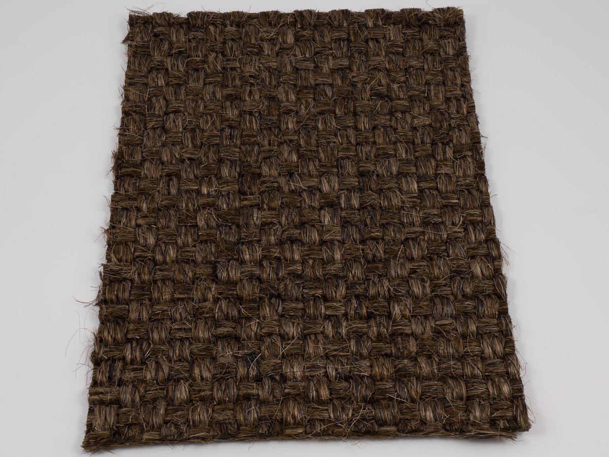 Colora 2854-20