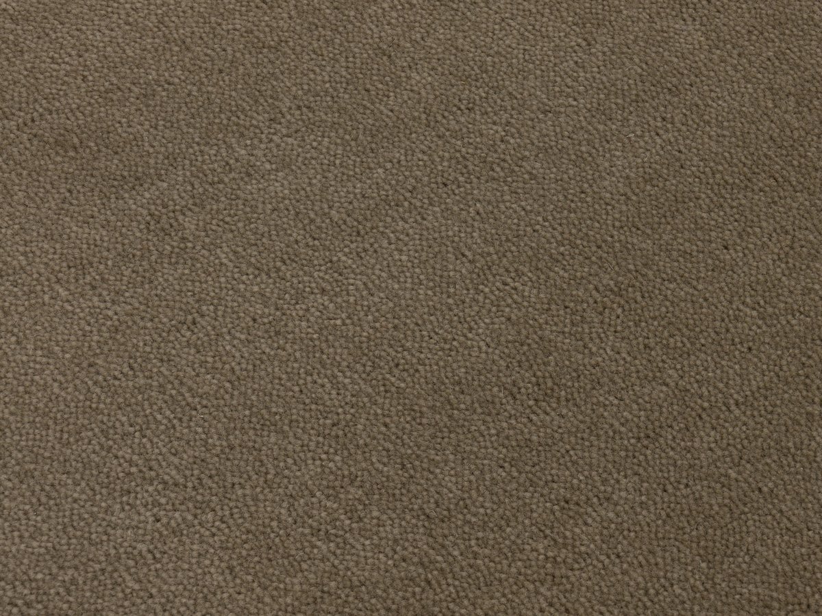 Sheba 1025